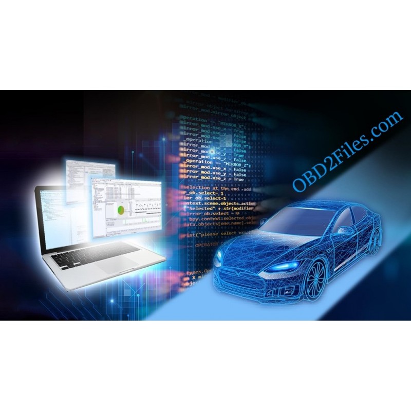 MEGA GT1 V52 DIS V55 TIS 2007 INPA 5.02 VMware 6.5 Installation manuals are all in Spanish