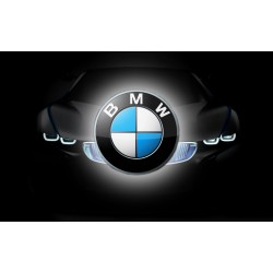 BimmerLink 2.24.4 +...